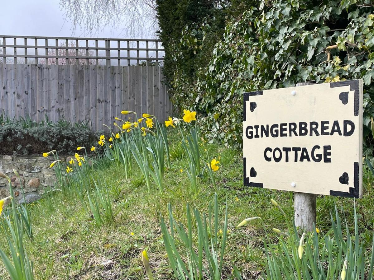 Gingerbread Cottage Chideock Екстер'єр фото